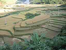 Viewpoint_in_Sapa.JPG